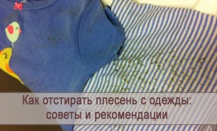 Як відіпрати цвіль з одягу поради та рекомендації (одягу) Як відіпрати цвіль з одягу поради та рекомендації