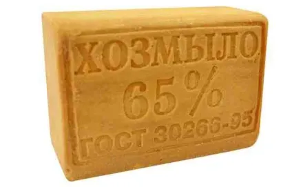 Як відіпрати цвіль з одягу поради та рекомендації (поради) Як відіпрати цвіль з одягу поради та рекомендації