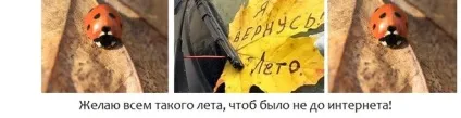 Як попрощатися з літом