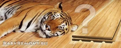 Як постелити пробкові підлоги - технологія укладання пробкового покриття своїми руками - (укладання коркового покриття) Як постелити пробкові підлоги - технологія укладання пробкового покриття своїми руками -