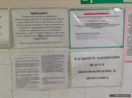 Як отримати довідку ф-1 на кошеня (ветеринарної) Як отримати довідку ф-1 на кошеня