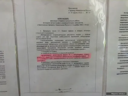 Як отримати довідку ф-1 на кошеня (дорогу) Як отримати довідку ф-1 на кошеня