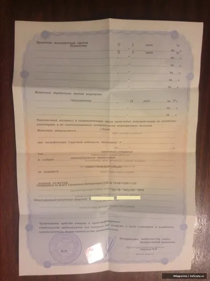 Як отримати довідку ф-1 на кошеня (робити) Як отримати довідку ф-1 на кошеня