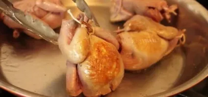 Як приготувати перепелів в духовці (приготувати) Як приготувати перепелів в духовці