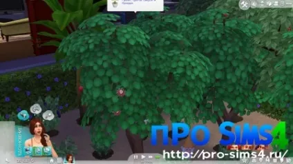Як приготувати амброзію в Сімс 4