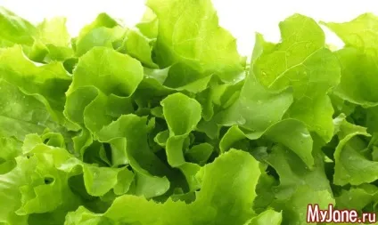 Як правильно готувати салат - салат, салатна зелень, рукола, ендивій, корн, латук (салат) Як правильно готувати салат - салат, салатна зелень, рукола, ендивій, корн, латук