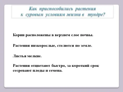 Як пристосувалися рослини до суворих умов життя в тундрі - презентація 95263-7 (як) Як пристосувалися рослини до суворих умов життя в тундрі - презентація 95263-7