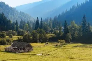 Як зробити гривню популярної валютою, факти (зробити) Як зробити гривню популярної валютою, факти