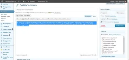 Як зробити картинку посиланням на сайті wordpress, інтернет капуста (як вставити картинку в сайтбар сайту) Як зробити картинку посиланням на сайті wordpress, інтернет капуста