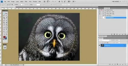 Як створити екшен в фотошопі, arttime (photoshop) Як створити екшен в фотошопі, arttime