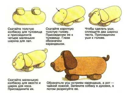 Як зліпити собаку з пластиліну поетапно (собаку) Як зліпити собаку з пластиліну поетапно