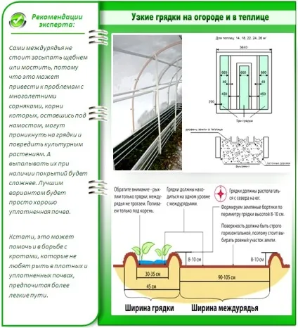 Як зробити вузькі грядки робимо город на вузьких грядках (кращі методи) (зробити) Як зробити вузькі грядки робимо город на вузьких грядках (кращі методи)