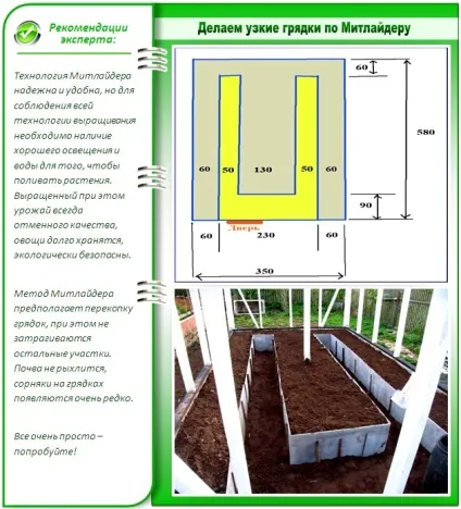 Як зробити вузькі грядки робимо город на вузьких грядках (кращі методи) (вузьких) Як зробити вузькі грядки робимо город на вузьких грядках (кращі методи)