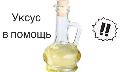 Як прибрати жуйку з джинс чи реально це - блог інтернет-магазину (жуйку) Як прибрати жуйку з джинс чи реально це - блог інтернет-магазину