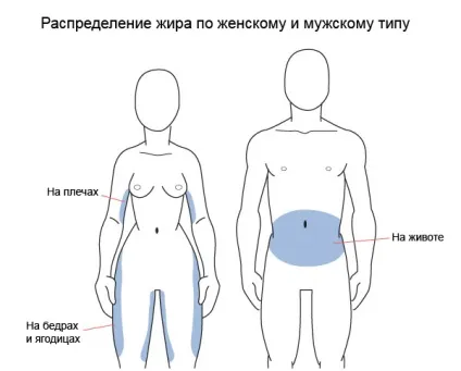 Як прибрати жир внизу живота (живота) Як прибрати жир внизу живота