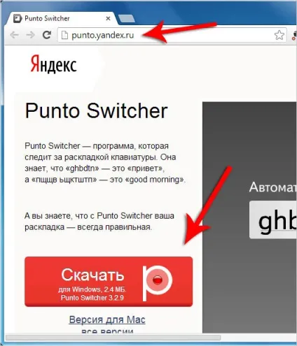 Як встановити punto switcher