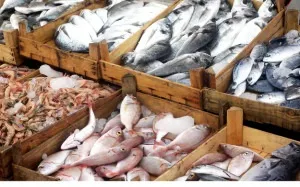Як вибирати продукти на ринку 12 корисних порад, завжди у формі! (Продукти) Як вибирати продукти на ринку 12 корисних порад, завжди у формі!
