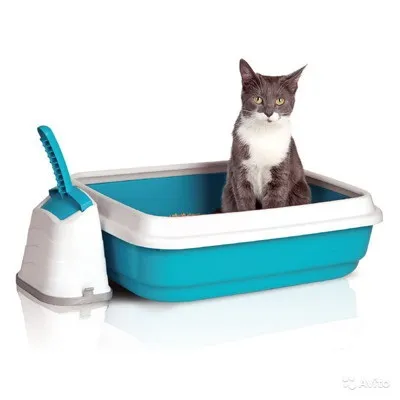 Як вибрати котячий лоток