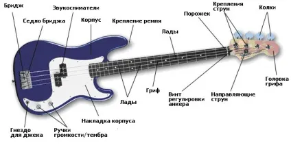 Як вибирати бас-гітару