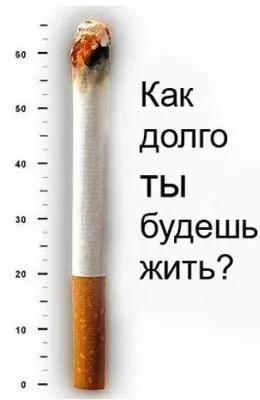 Як впливає куріння на печінку людини (людини) Як впливає куріння на печінку людини