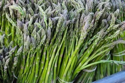 Як вирощувати спаржу, готуємо вдома, кулінарні рецепти приготування (спаржу) Як вирощувати спаржу, готуємо вдома, кулінарні рецепти приготування