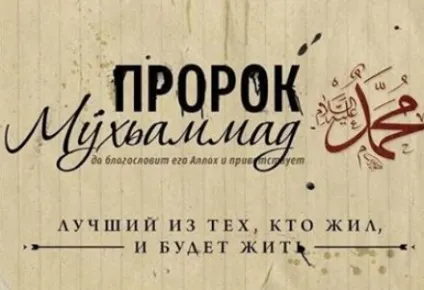 Як виглядають сучасні арабські принцеси (7 принцес) Як виглядають сучасні арабські принцеси
