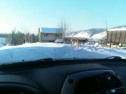 Як я не пропустив швидку (швидку) Як я не пропустив швидку
