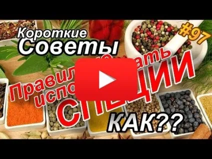 Як вивести цвіль, корисні поради (цвіль) Як вивести цвіль, корисні поради