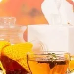 Як захиститися від комах (захиститися) Як захиститися від комах