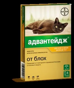 Краплі барс для кішок і собак - інструкція із застосування, відгуки і ціна (кішок) Краплі барс для кішок і собак - інструкція із застосування, відгуки і ціна