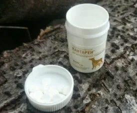 Кантарія для собак інструкція із застосування, відгуки та побічні дії