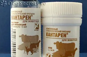 Кантарія для собак інструкція із застосування, відгуки (інструкція) Кантарія для собак інструкція із застосування, відгуки