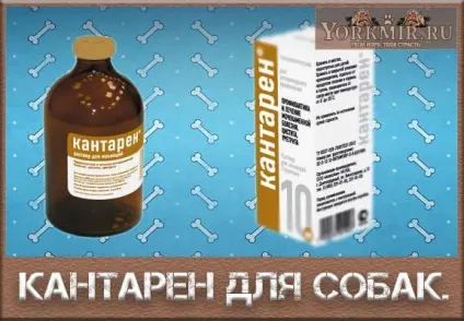 Кантарія для собак, інструкція, ціна, відгуки (ціна) Кантарія для собак, інструкція, ціна, відгуки