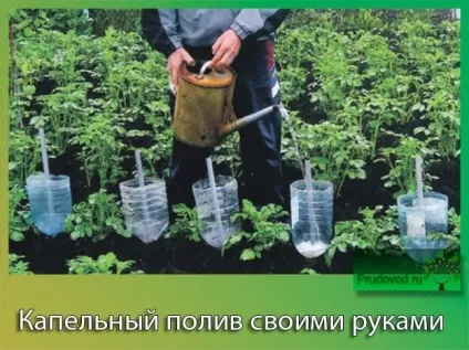 Крапельний полив своїми руками з пластикових пляшок конструкції (своїми) Крапельний полив своїми руками з пластикових пляшок конструкції