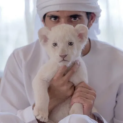 Як живе спадкоємець престолу арабських еміратів (престолу) Як живе спадкоємець престолу арабських еміратів