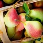 Картопля з цибулею в мультиварці (Панасонік) Картопля з цибулею в мультиварці