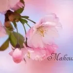 Картинки з ім'ям максим, Максимка, макс, картинки з іменами (максим) Картинки з ім'ям максим, Максимка, макс, картинки з іменами