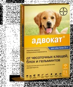 Краплі барс для кішок і собак - інструкція із застосування, відгуки і ціна (кішок) Краплі барс для кішок і собак - інструкція із застосування, відгуки і ціна