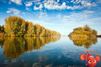 Класифікація річок за характером перебігу, типу харчування і режиму (режиму) Класифікація річок за характером перебігу, типу харчування і режиму