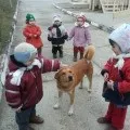 Конспект пізнавального заняття «собака-друг людини» (повна вища освіта) Конспект пізнавального заняття «собака-друг людини»