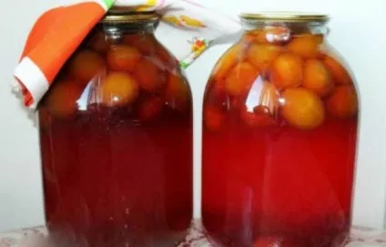 Компот із слив річний і на зиму прості рецепти з фото (слив) Компот із слив річний і на зиму прості рецепти з фото