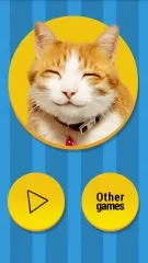Котячий розмовник - розмовляємо з котом! Для андроїд - завантажити програми на android (розмовляємо) Котячий розмовник - розмовляємо з котом! Для андроїд - завантажити програми на android