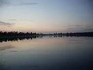 Годівля і утримання собак (собак) Годівля і утримання собак
