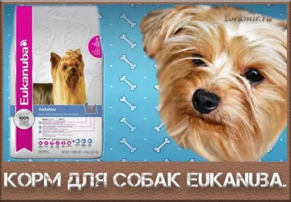 Корм для собак eukanuba, відгуки, ігредіенти