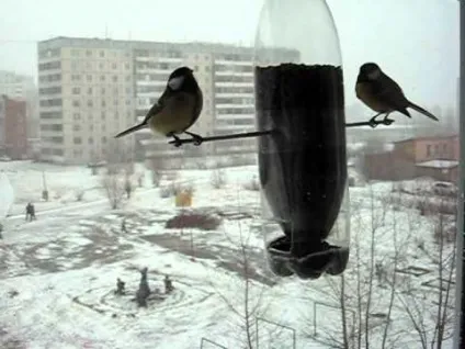 Годівниці (поїлки) для голубів як зробити своїми руками (поїлки) Годівниці (поїлки) для голубів як зробити своїми руками