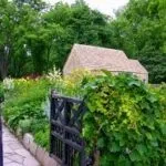 Красиві дачні будиночки - 100 фото новинок сучасних будинків (фото) Красиві дачні будиночки - 100 фото новинок сучасних будинків