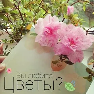 Fkniga фотокниги - мінібук instagram photos and videos (instagram) Fkniga фотокниги - мінібук instagram photos and videos