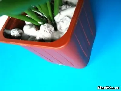 Фіалки з холодного фарфору