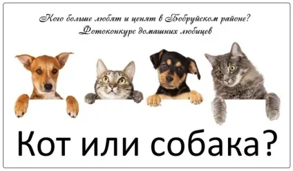 Фотоконкурс домашніх улюбленців «кіт або собака» (2016 рік), трибуна ПРАЦІ (собака) Фотоконкурс домашніх улюбленців «кіт або собака» (2016 рік), трибуна ПРАЦІ