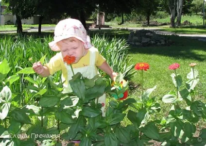 Фотографуємо дітей цікаво, країна майстрів (дітей) Фотографуємо дітей цікаво, країна майстрів